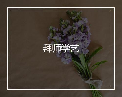 拜师学艺