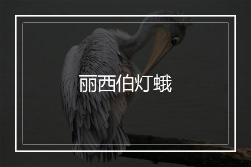 丽西伯灯蛾