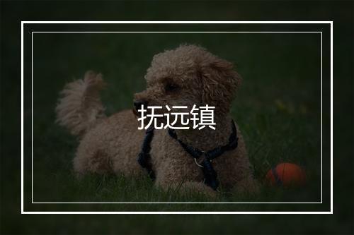 抚远镇