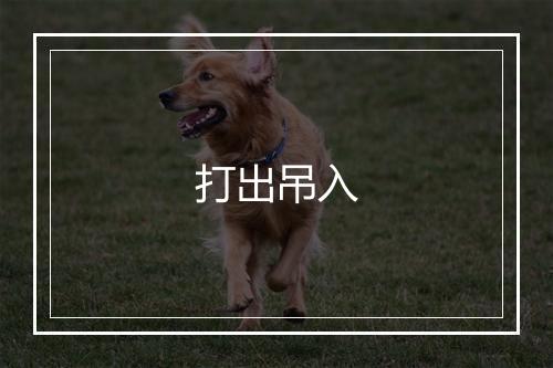 打出吊入