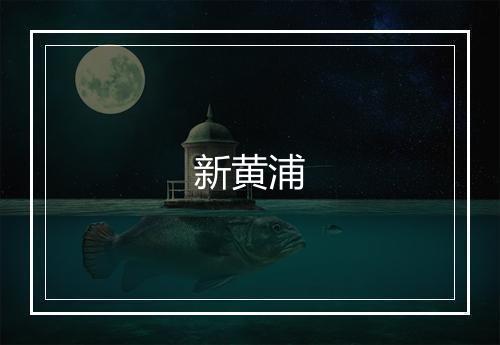 新黄浦