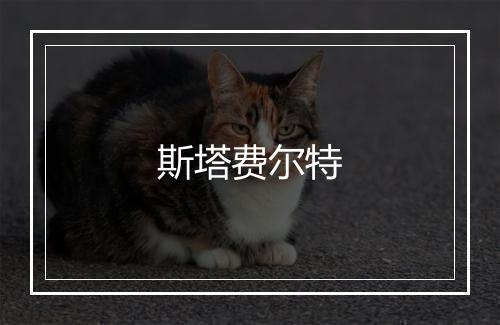 斯塔费尔特