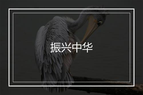 振兴中华