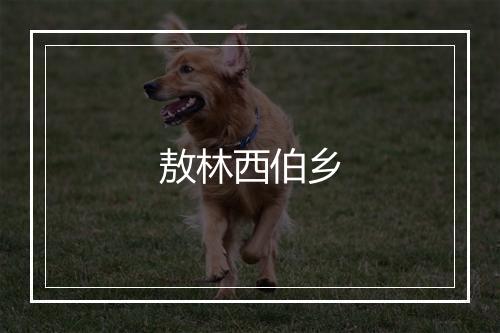 敖林西伯乡