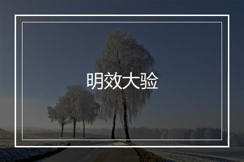 明效大验