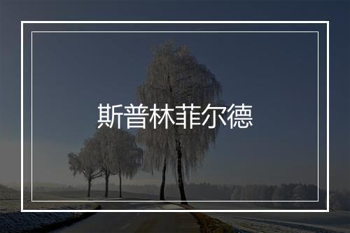 斯普林菲尔德