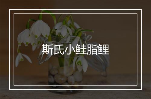 斯氏小鲑脂鲤