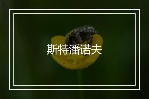 斯特潘诺夫