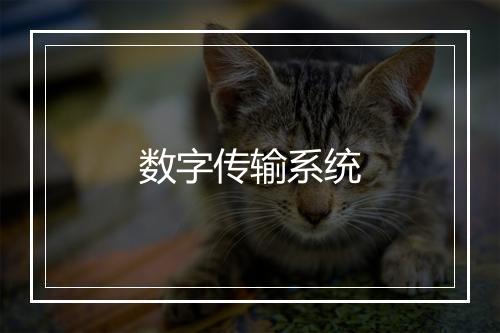 数字传输系统