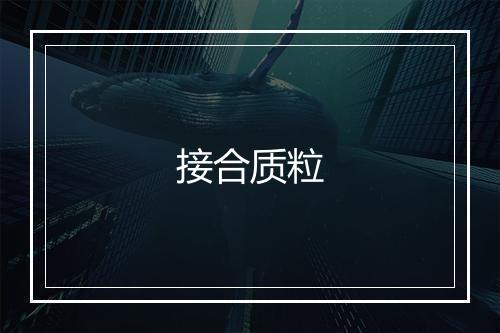 接合质粒