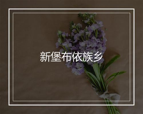 新堡布依族乡