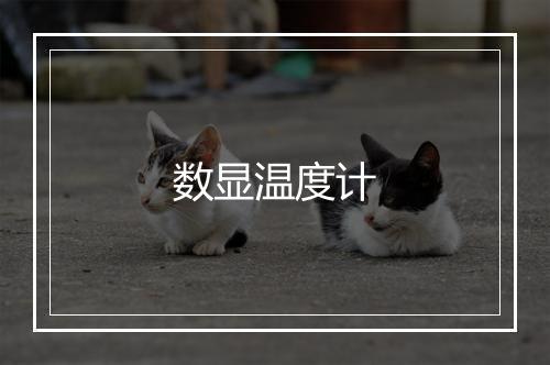 数显温度计