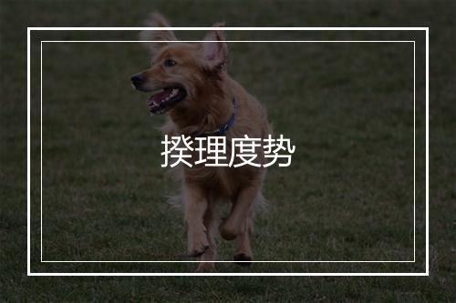 揆理度势