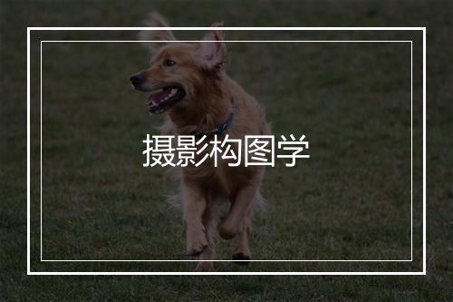 摄影构图学