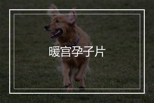 暖宫孕子片