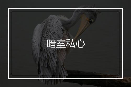 暗室私心