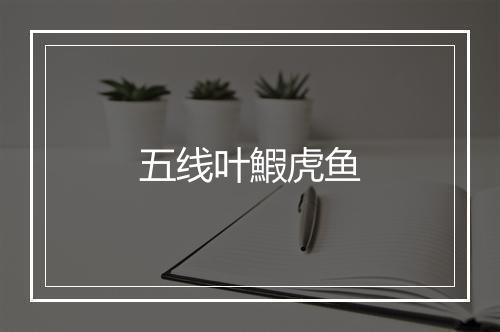 五线叶鰕虎鱼