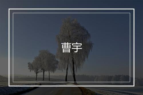 曹宇