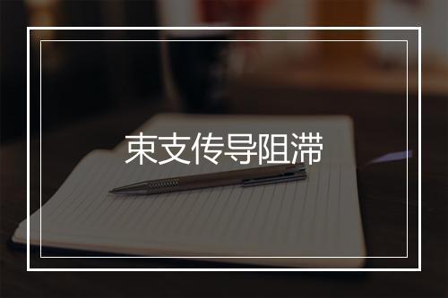 束支传导阻滞