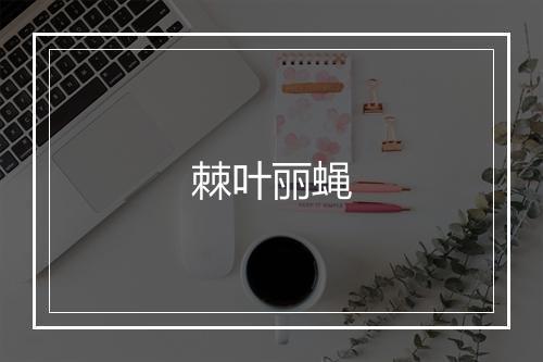 棘叶丽蝇