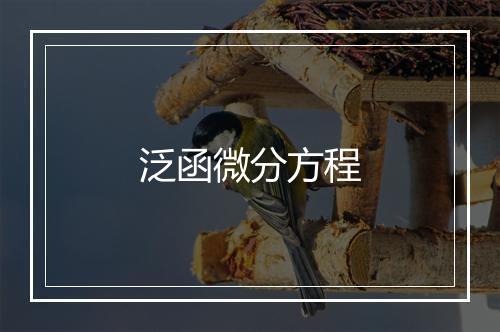 泛函微分方程