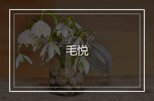 毛悦