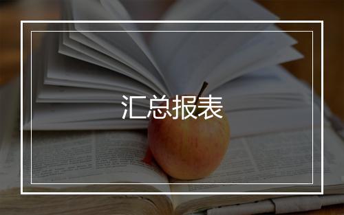 汇总报表