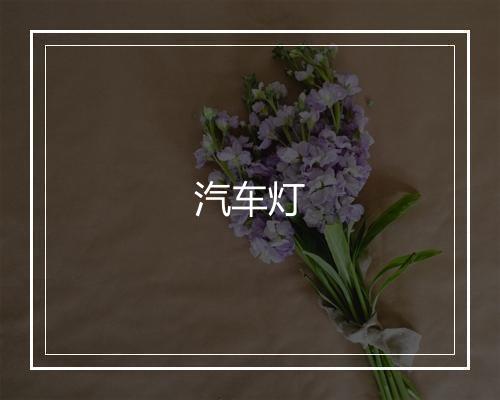 汽车灯