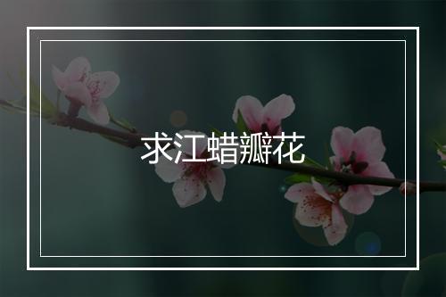 求江蜡瓣花