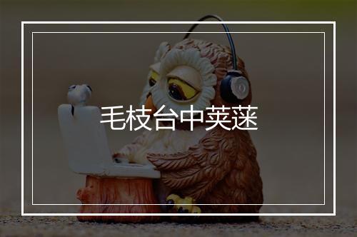 毛枝台中荚蒾