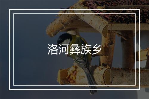 洛河彝族乡