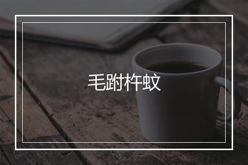 毛跗杵蚊