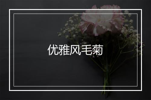 优雅风毛菊