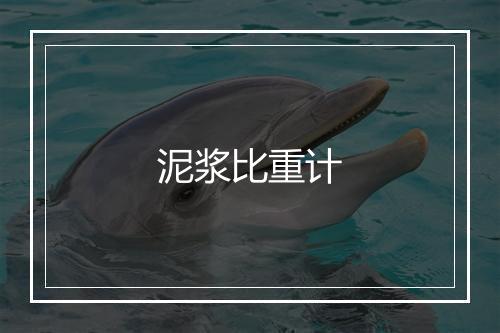 泥浆比重计