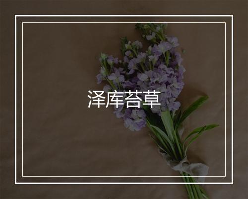 泽库苔草