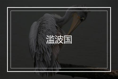 滥波国