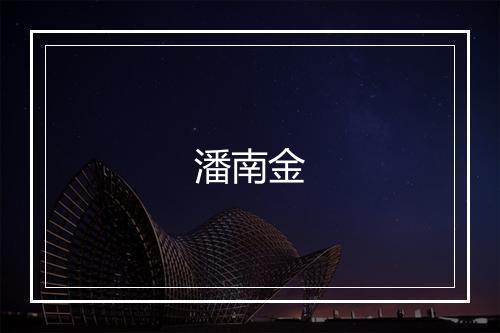 潘南金