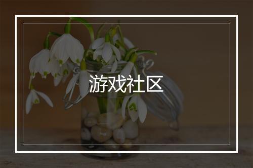 游戏社区