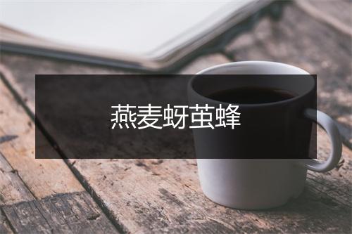 燕麦蚜茧蜂