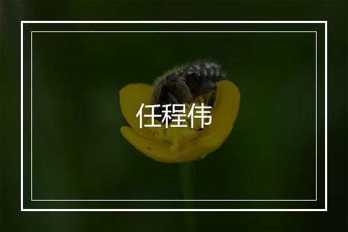 任程伟