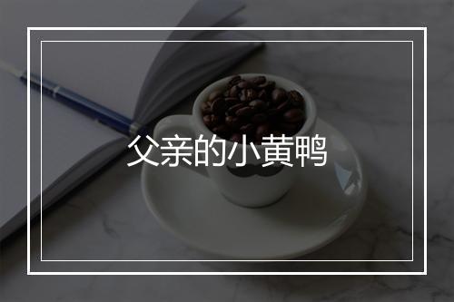 父亲的小黄鸭