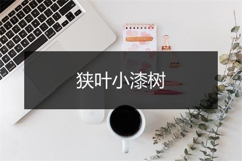 狭叶小漆树