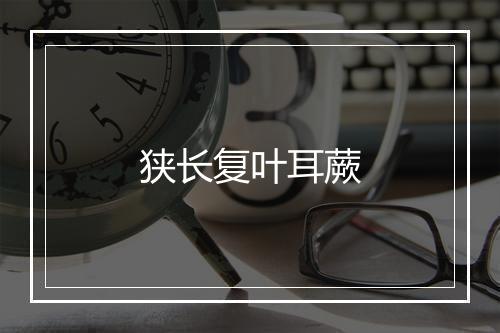 狭长复叶耳蕨