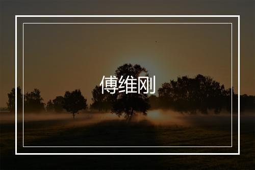 傅维刚