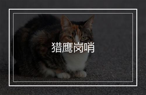 猎鹰岗哨