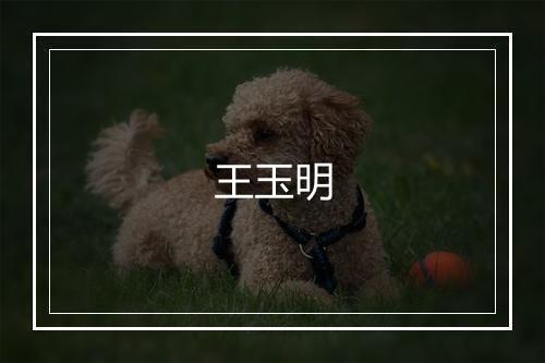 王玉明