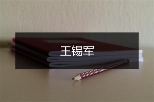 王锡军