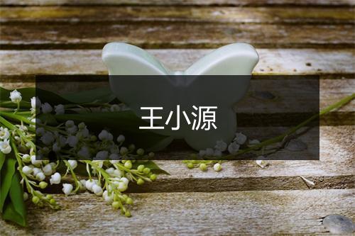 王小源