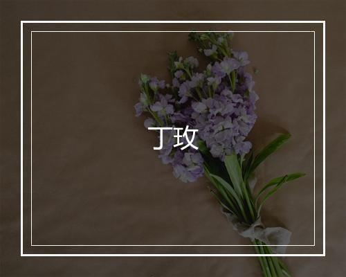 丁玫