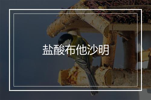 盐酸布他沙明